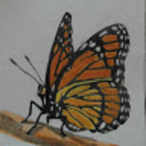 Meet your Posher, Fredrickmagnus